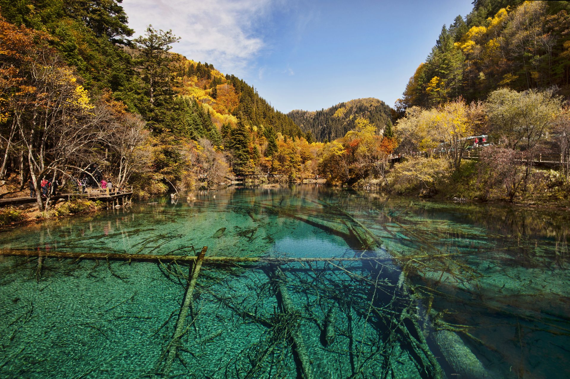 Clear turquoise water of Five Flower Lake with sunken logs and autumn forest, Jiuzhaigou — Photo: Chensiyuan / CC BY-SA 4.0 via Wikimedia Commons