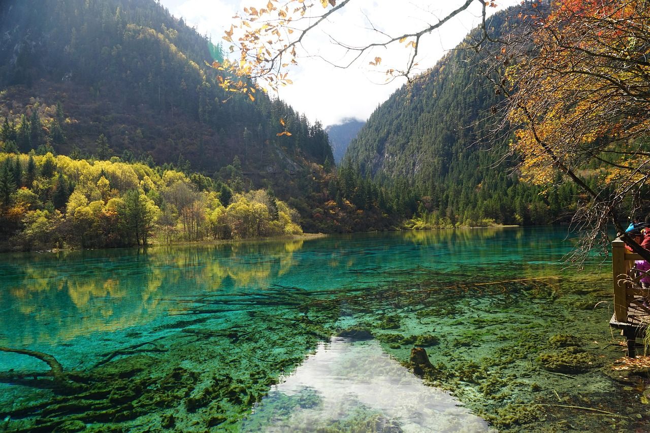 Autumn colour around Jiuzhaigou's lakes — the short foliage window